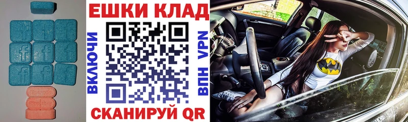 Купить  Онега  ЭКСТАЗИ XTC 