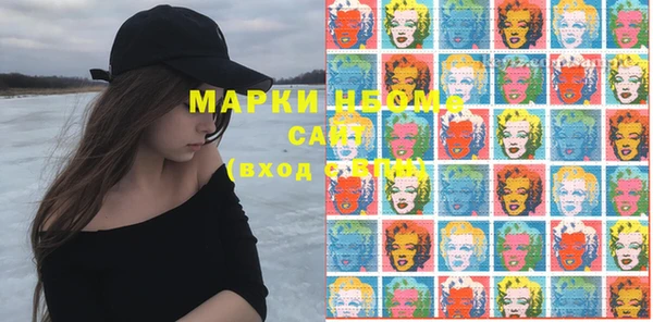 мдпв Вяземский