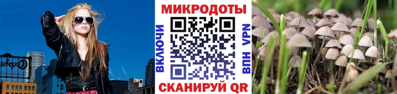 Купить закладки  Онега  Псилоцибиновые грибы Magic Shrooms 